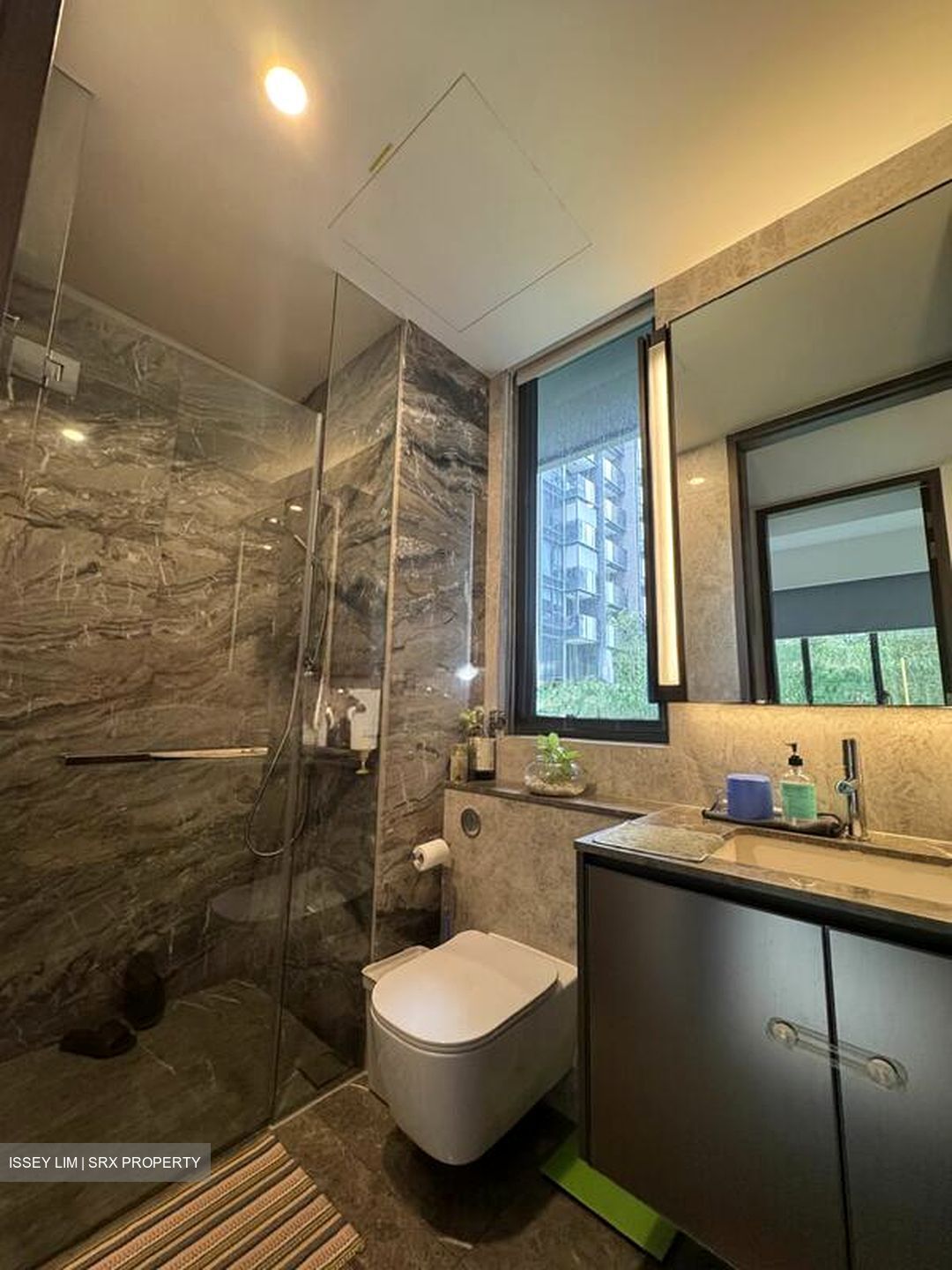 Leedon Green (D10), Condominium #498616011